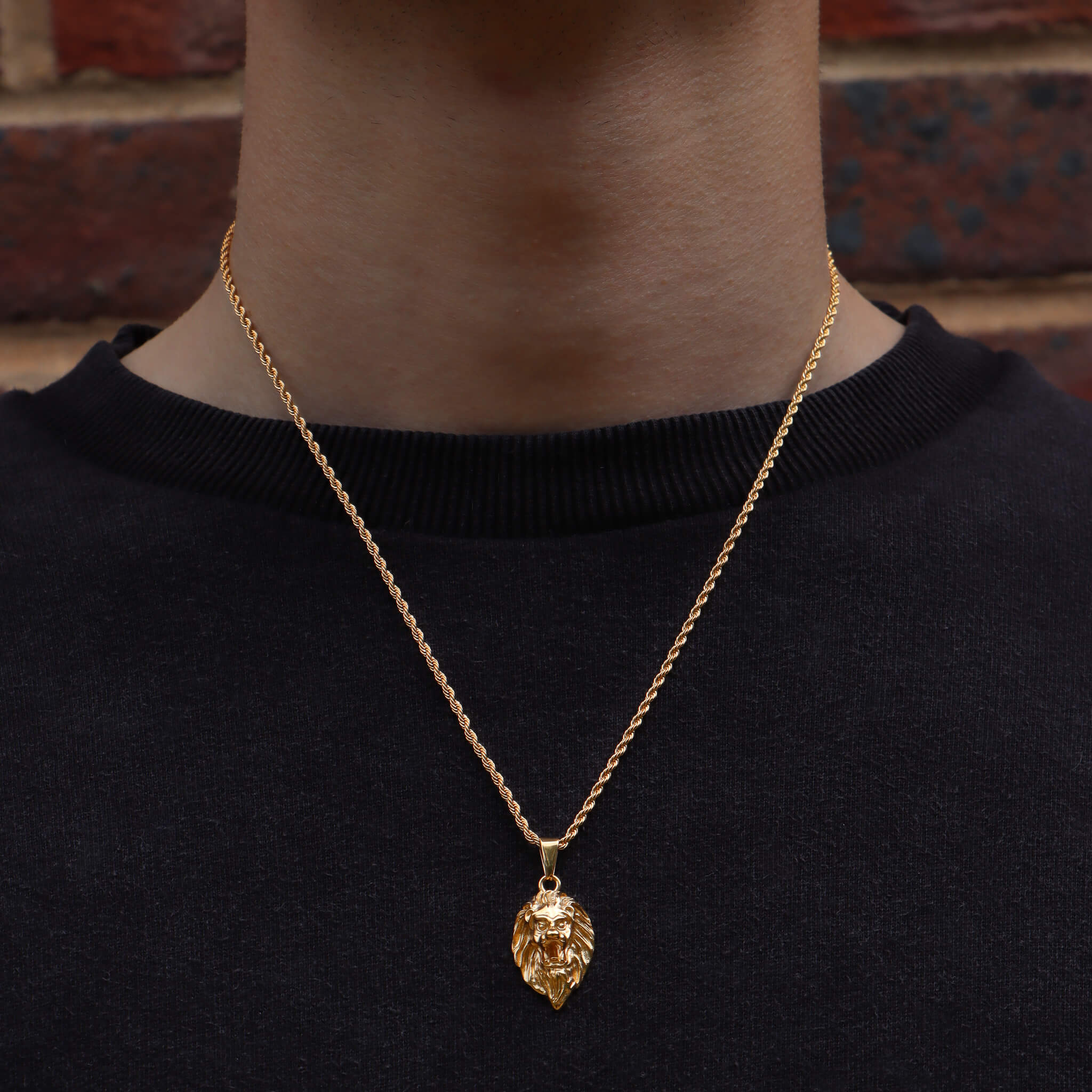 Lion Pendant – Gold