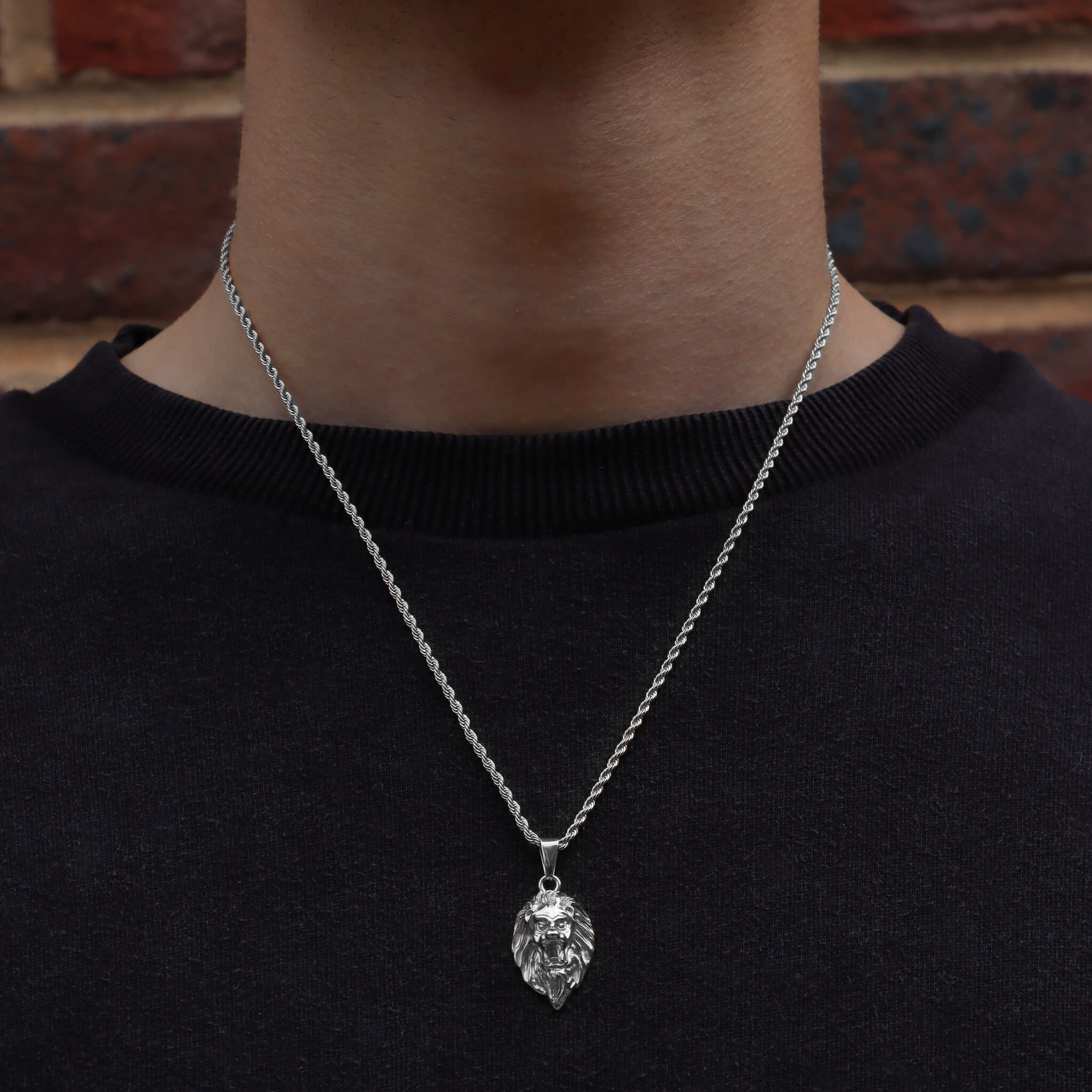 Lion Pendant – Silver